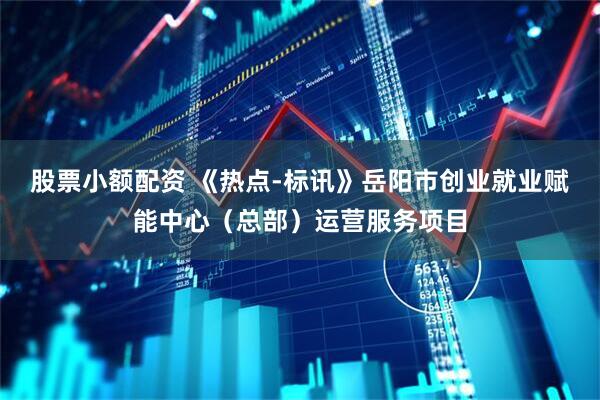股票小额配资 《热点-标讯》岳阳市创业就业赋能中心（总部）运营服务项目