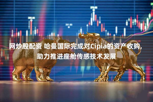 网炒股配资 哈曼国际完成对Cipia的资产收购, 助力推进座舱传感技术发展